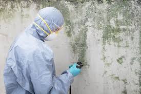 Environmental Consulting for Mold Prevention in Alexandria, AL